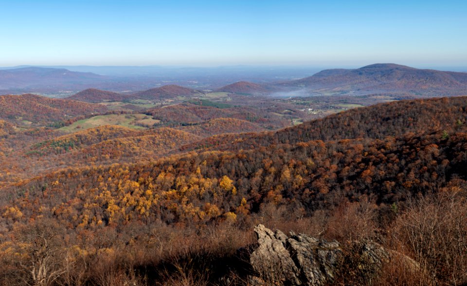 Late Fall View