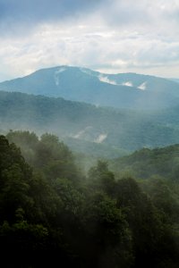 Fog in the Mountains