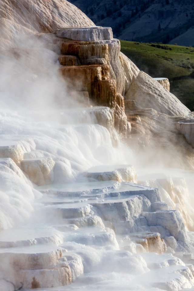 Canary Spring terraces