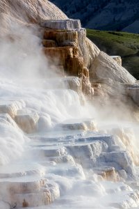 Canary Spring terraces photo