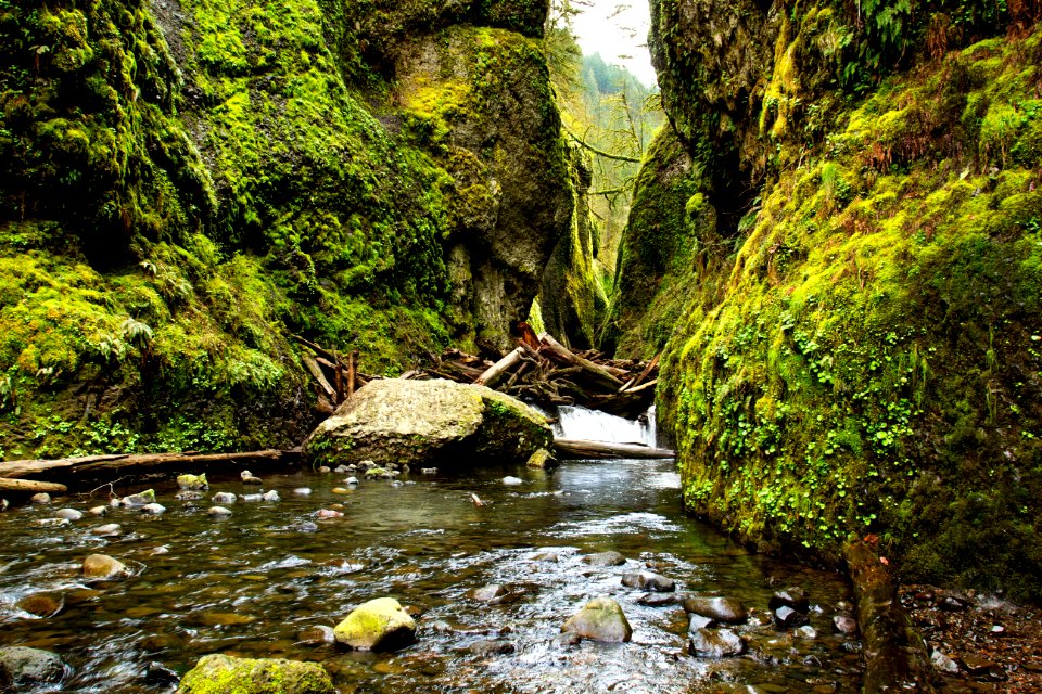 Oneonta Gorge, Oregon