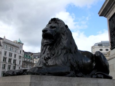 Lion on Trafalgar Square, London