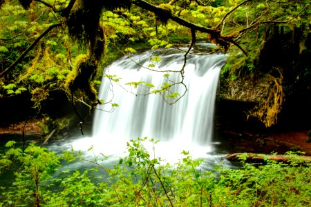 Butte Creek Waterfall, Oregon photo