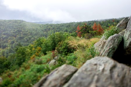 Tilt Shift from Hazel Mountain