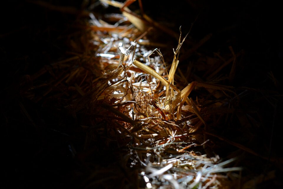 Sunlight sunbeam light and shadow