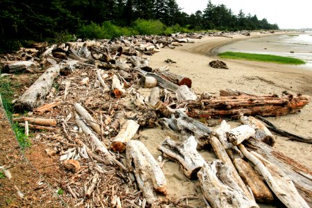 Siletz Bay Oregon