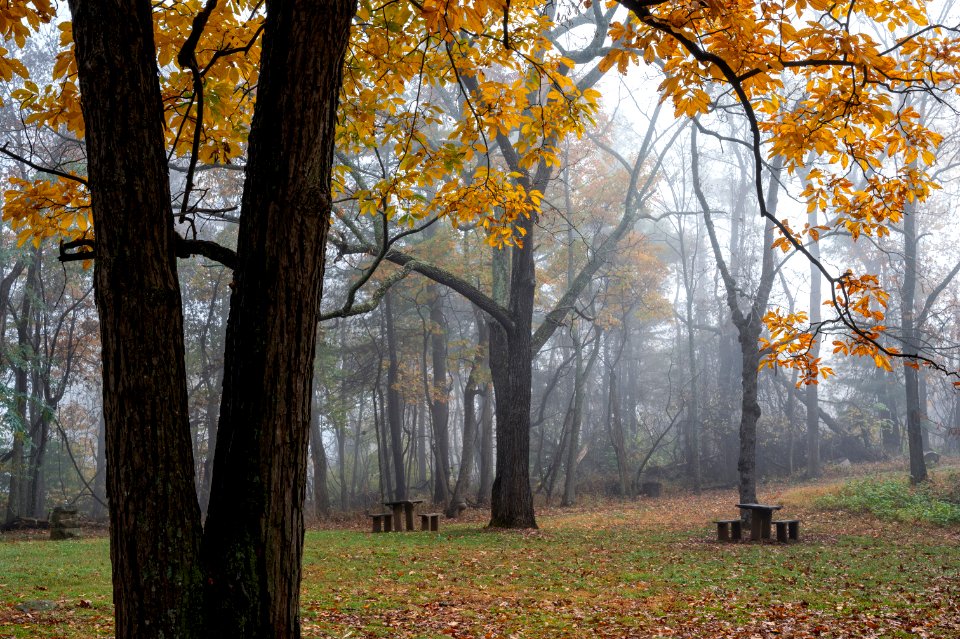 Dickey Ridge Picnic Grounds in the Fall