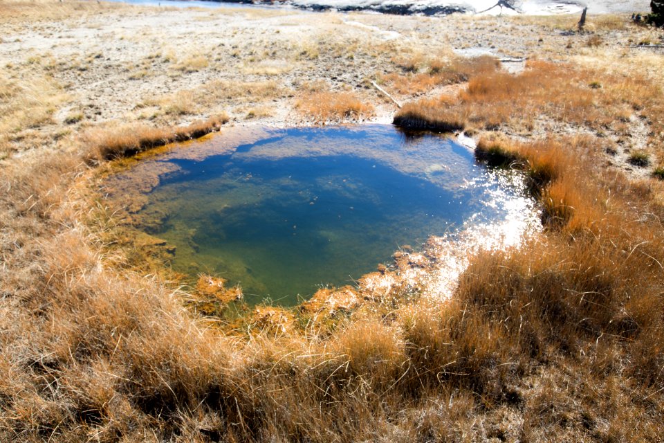 Liberty Pool
