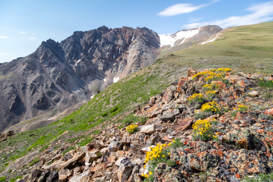 Alpine views on the north side of Electric Peak