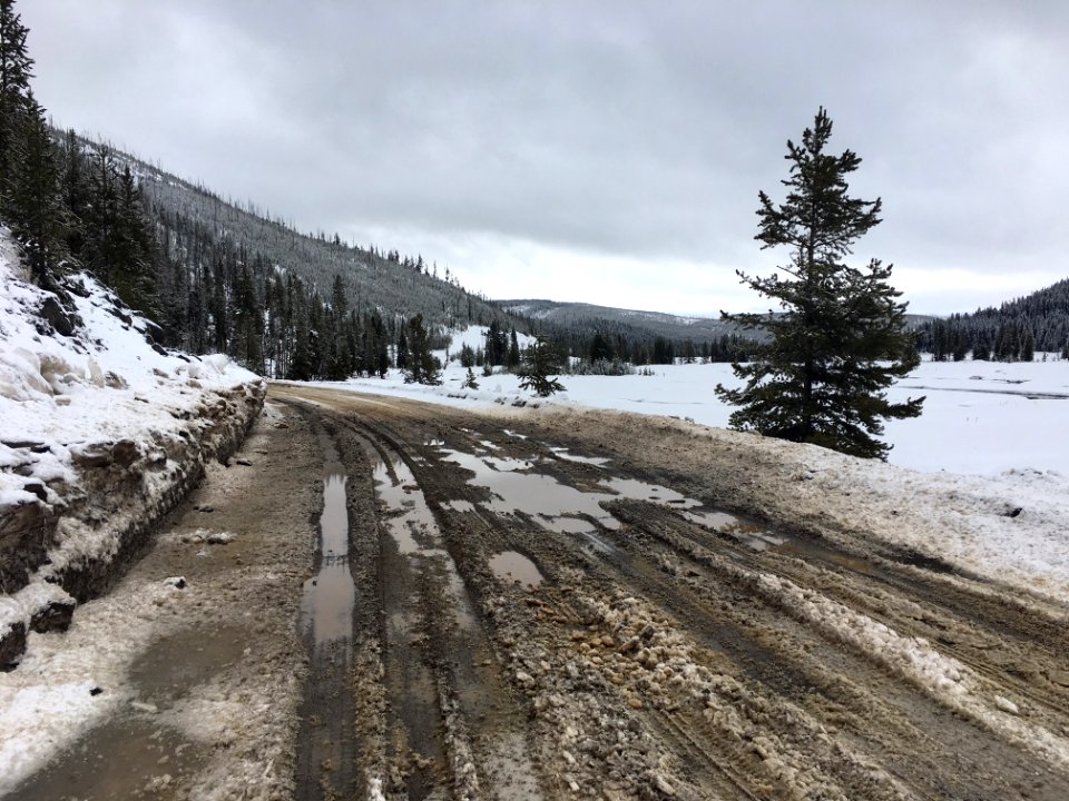 Snowmelt & mud in the construction zone between Mammoth Hot Springs and the Norris Geyser Basin
