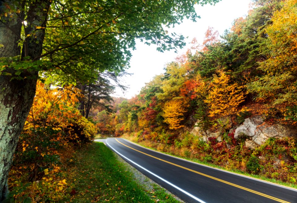 2016 Fall Color: Week of 10/17-10/21
