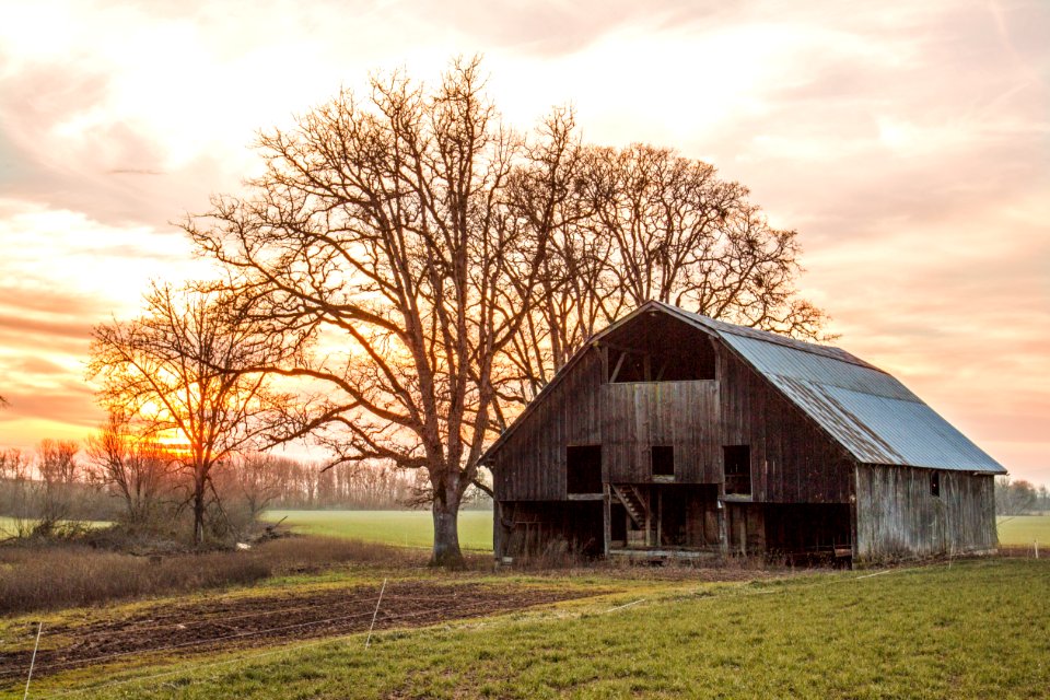 Old barn, winter sunset, Oregon