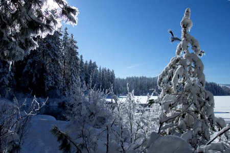 Suttle Lake, Oregon photo