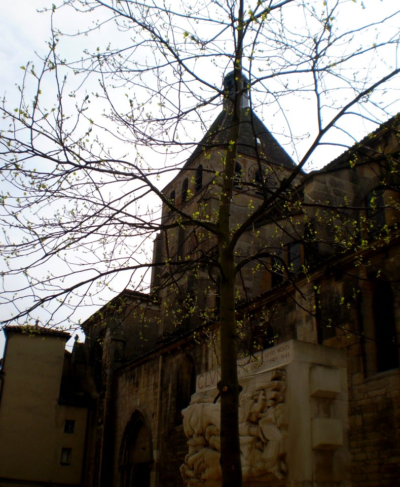 Cluny