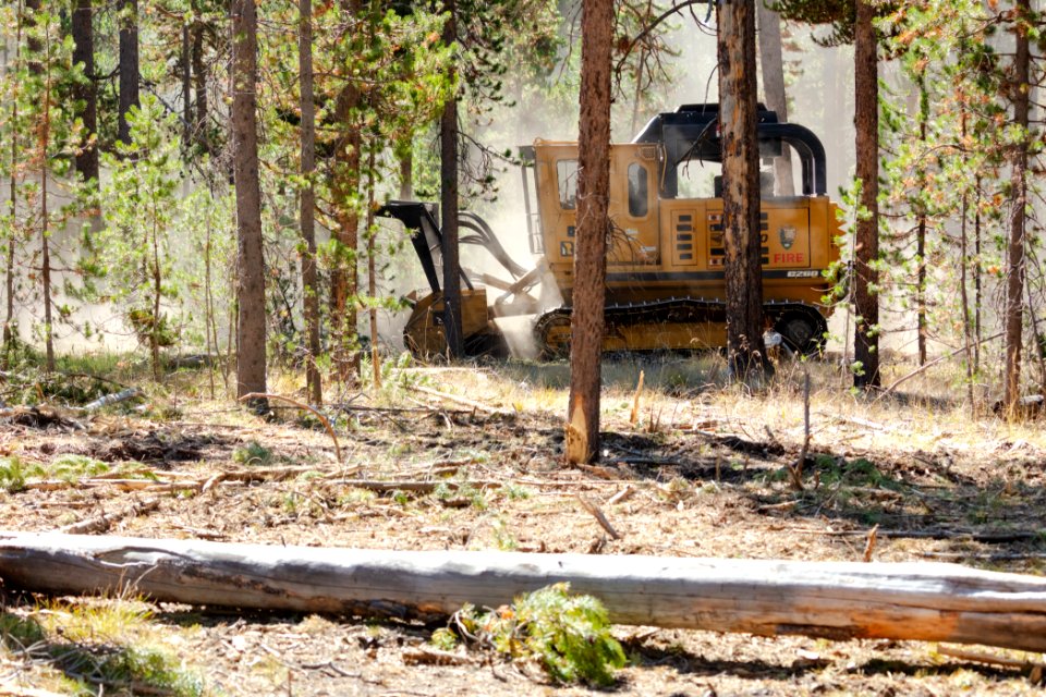 2019 West Fuels Treatment Project: masticator in action (2)