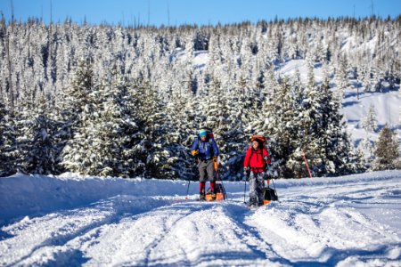 Backcoutry campers ski-touring the Interior of the park