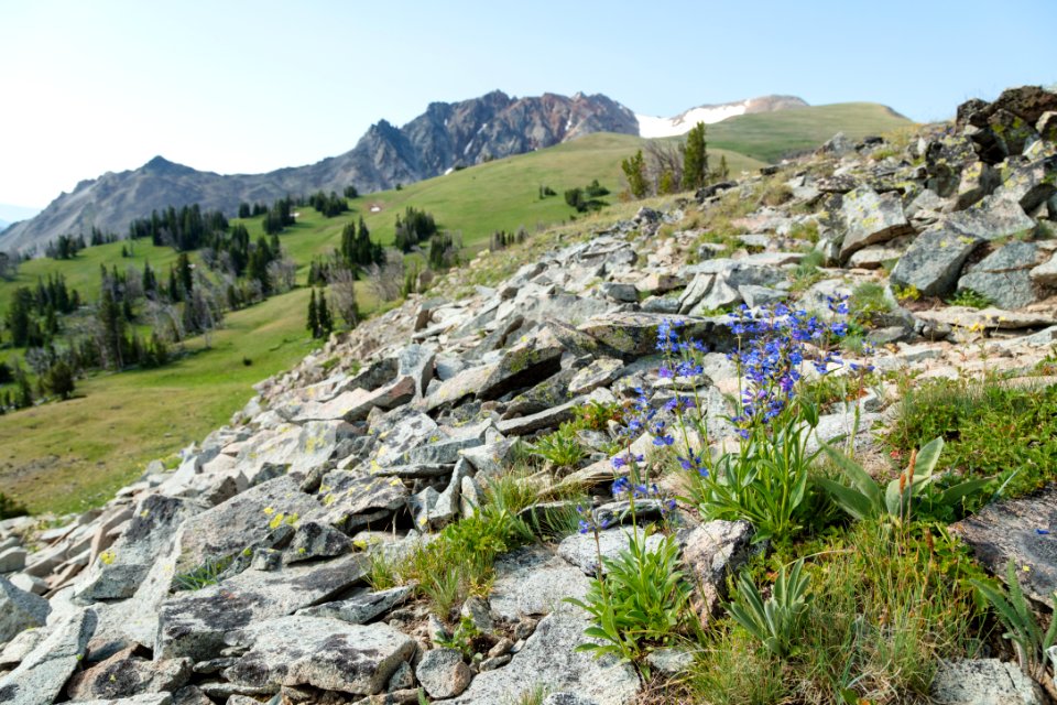 Alpine views on the north side of Electric Peak (2)