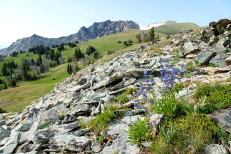 Alpine views on the north side of Electric Peak (2) photo