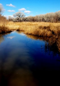 SAN PEDRO RIVER, cochise co, az - down-stream from san pedro house (3) photo