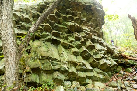 Columnar Jointing