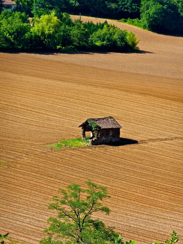 Shed lonesome farming