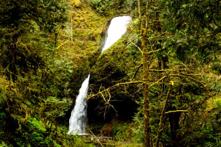 Upper Latourell Falls, Oregon photo