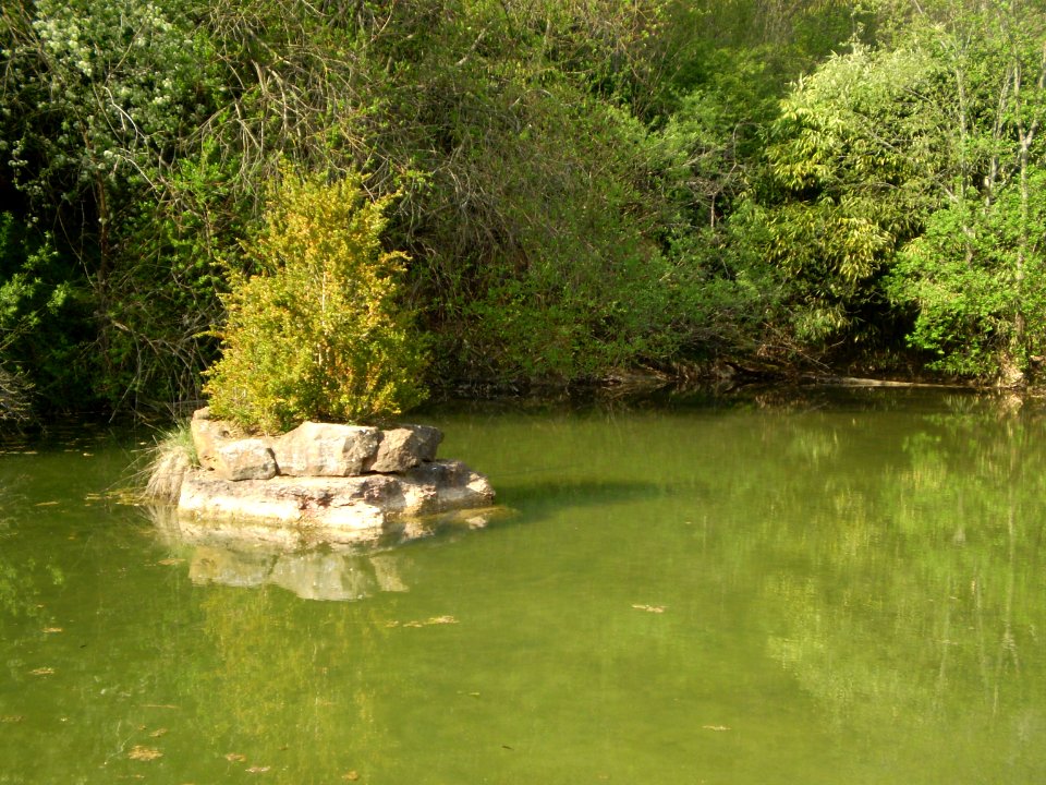 Garden of Silence, Taizé