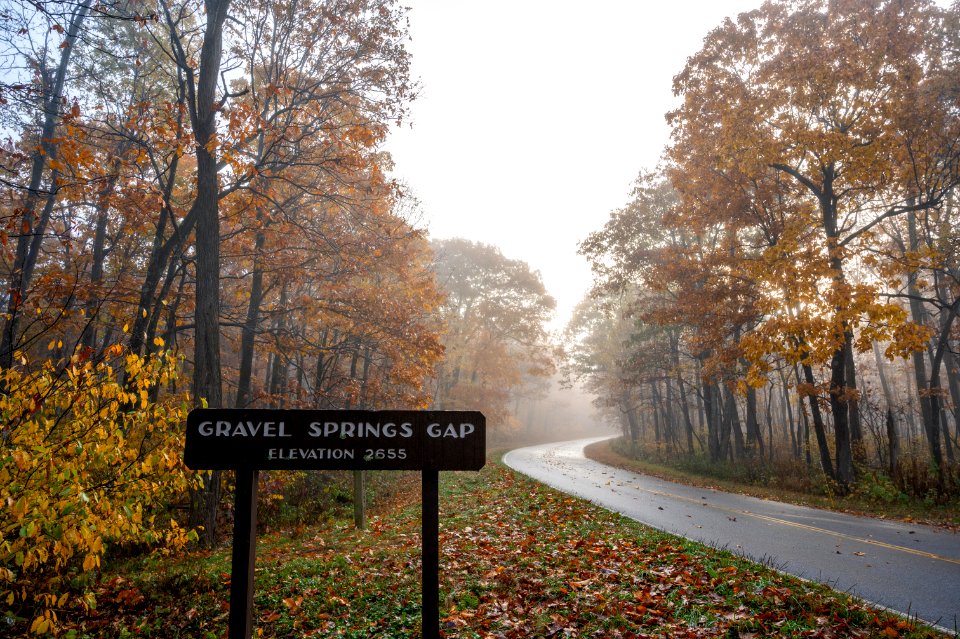 Gravel Springs