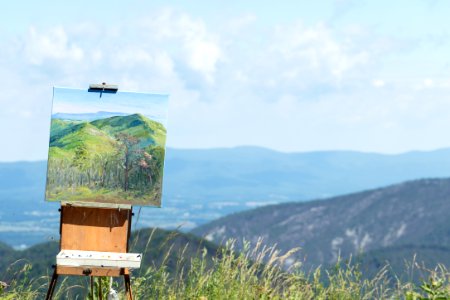 Artist-in-Residence - Summer 2017