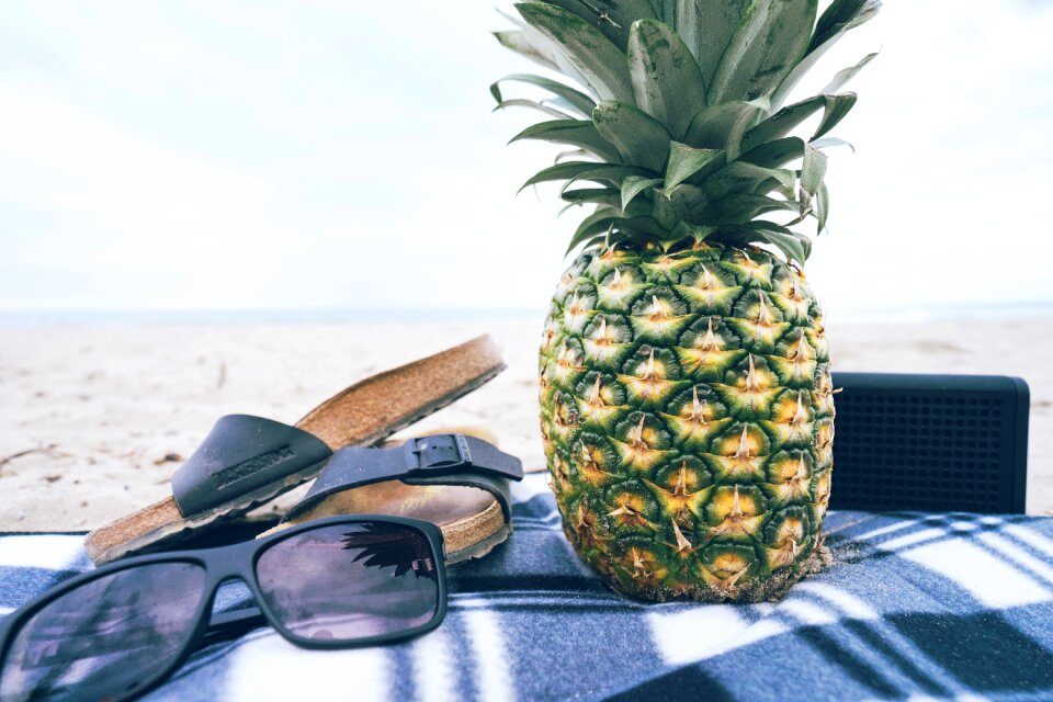 Glasses fresh summer