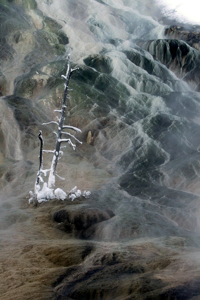 Runoff from Palette Spring