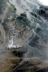 Runoff from Palette Spring