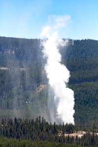 Steamboat Geyser steam phase viewed from the Norris Geyser Basin Overlook (portrait) photo