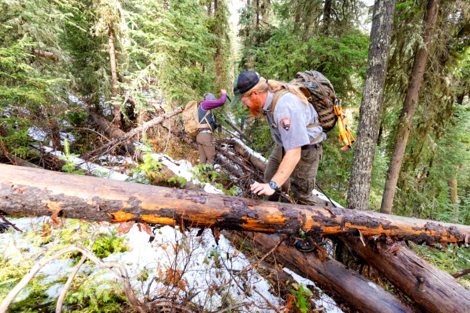 A biological technician and Montana State University graduate student hiking to find grizzly GPS cluster points (2)