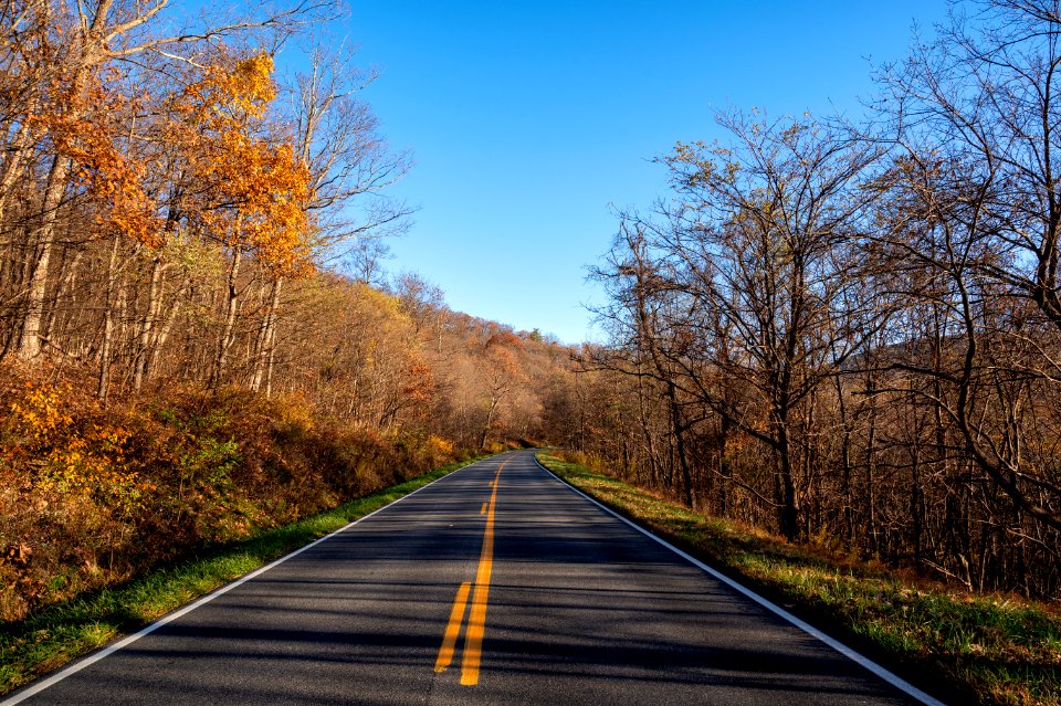 Along the Drive in Late Fall