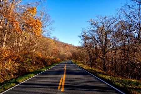 Along the Drive in Late Fall