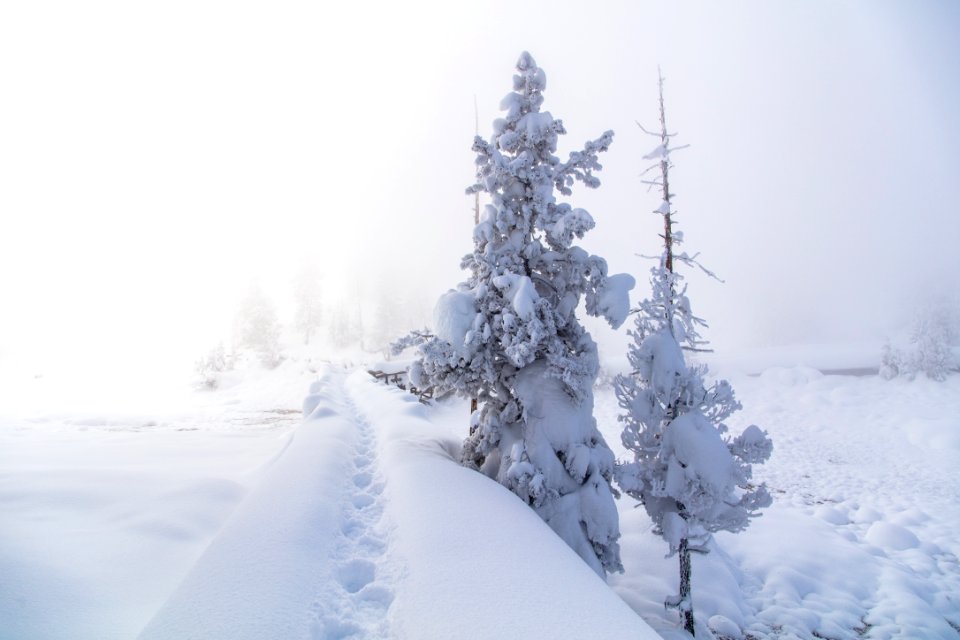 Boardwalk at Mud Volcano in winter