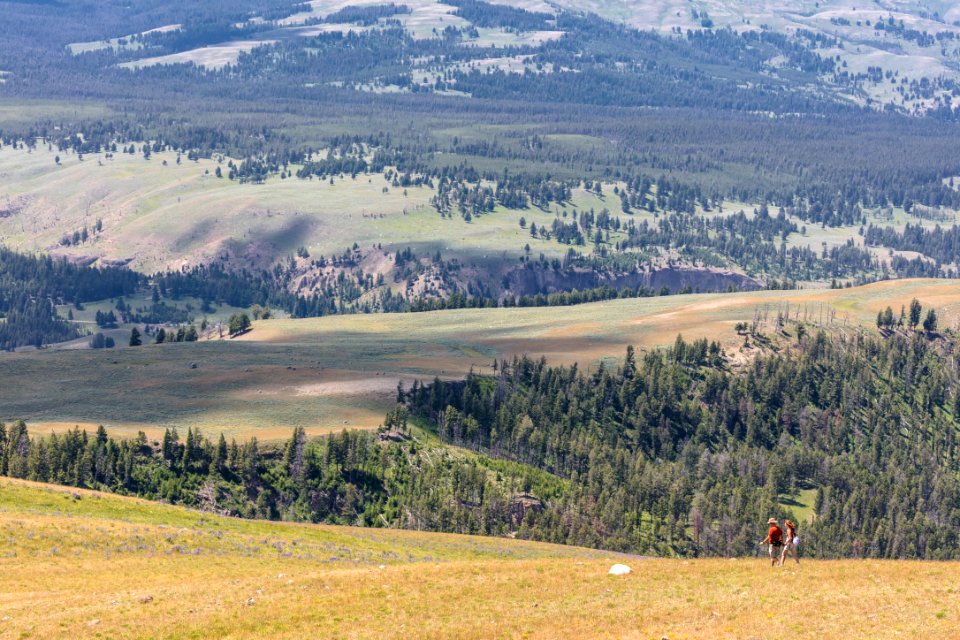 Hikers on Specimen Ridge