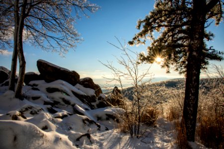 Winter Morning Sunshine photo