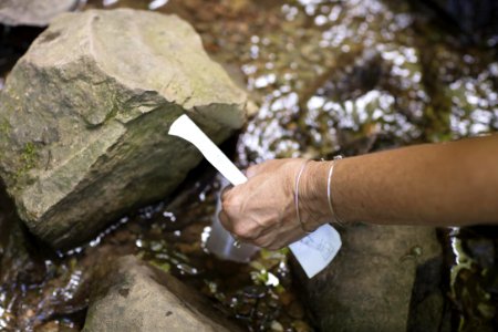 Water Quality Testing Activity