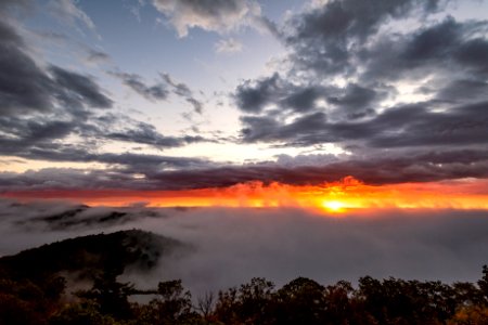 Windswept Fog Ocean Sunrise photo