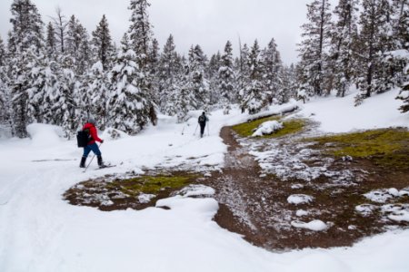 Cross-country skiing from Lone Star Geyser to Snow Lodge on the Howard Eaton Trail