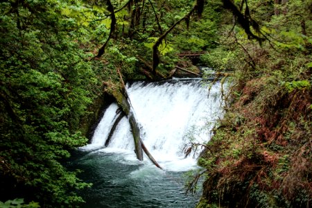 Lower North Falls, Waterfall, Oregon photo