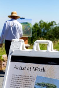Artist-in-Residence - Summer 2017