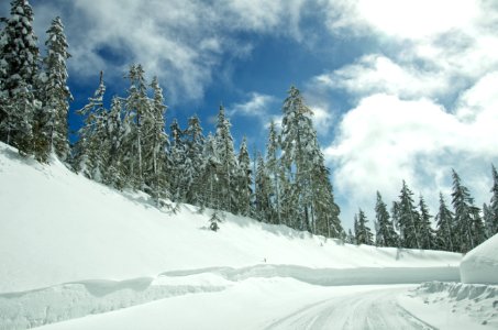 Snowy road around Mt Hood, Oregon photo