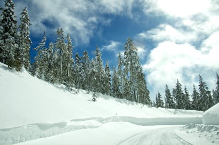 Snowy road around Mt Hood, Oregon