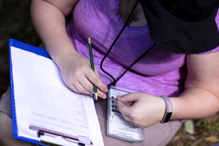 Water Quality Testing Activity