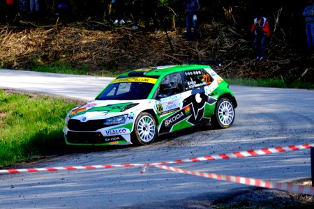 WRC Skoda 04 photo