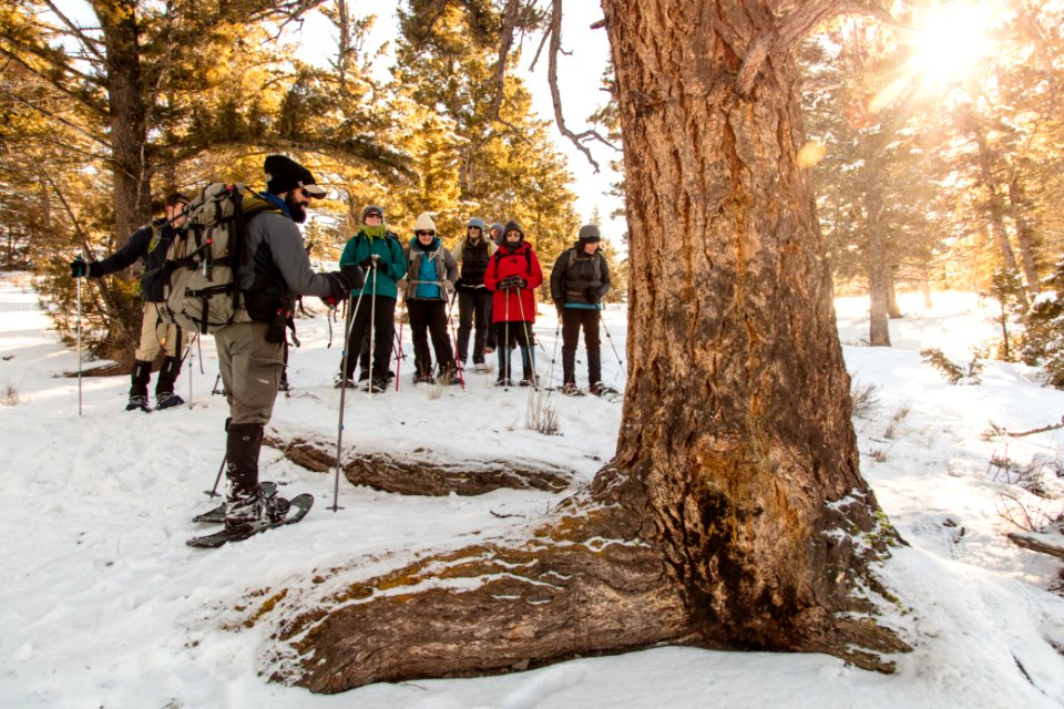 Yellowstone Forever Cougar Course - Colby shows a cougar scrape site