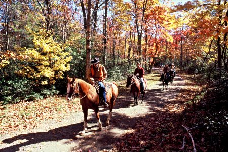 Trail Ride-Skyland on Old Rag Fire Road